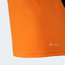 Camisa Internacional Treino – 2023