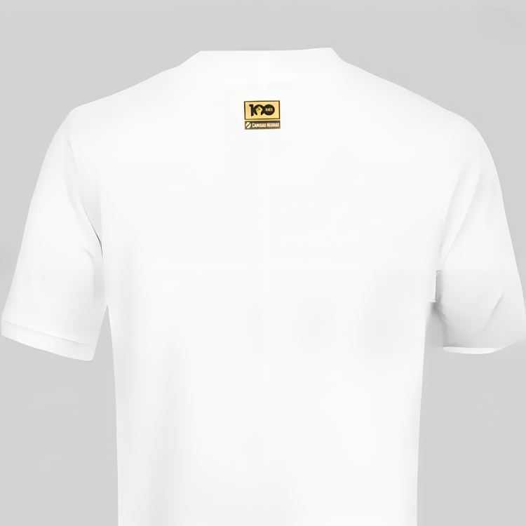 Camisa Vasco Goleiro II – 2023