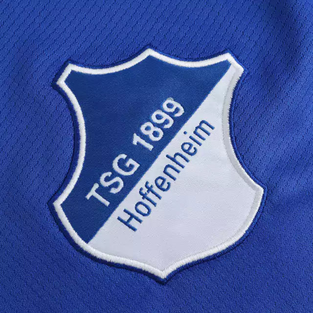 Hoffenheim 2024-25