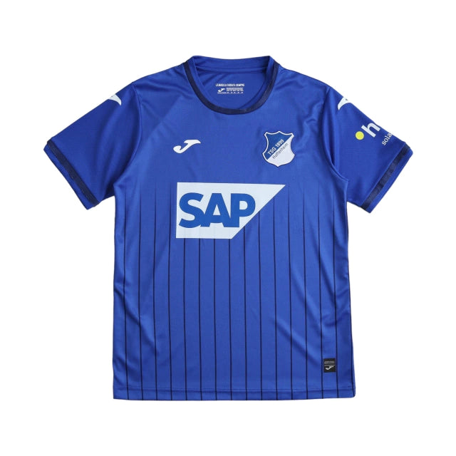 Hoffenheim 2024-25